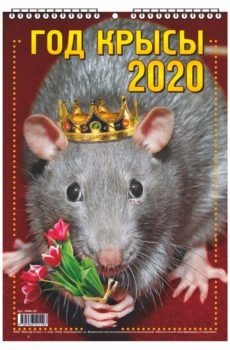 Календарь настенный перекидной "Год крысы" на 2020 год фото книги