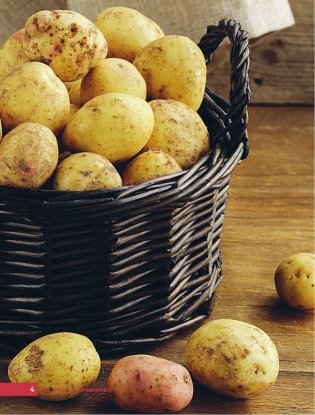 Картофель и капуста. Секреты урожая от Октябрины Ганичкиной фото книги 4