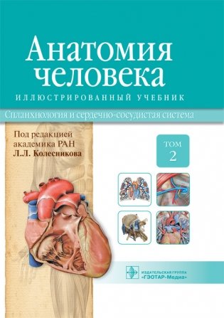 Анатомия человека. Том 2. Спланхнология и сердечно-сосудистая система фото книги