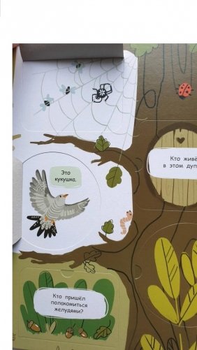 Книжка с окошками. В лесу фото книги 6