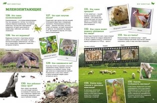 Мир животных: от актинии до ягуара фото книги 3