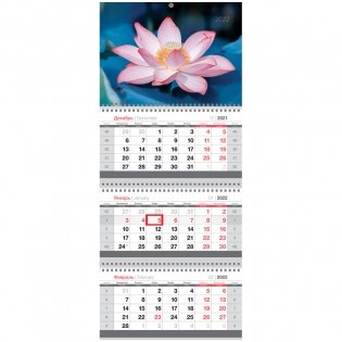 Календарь квартальный на 2022 год "Mini. Цветок лотоса", 195x445 мм фото книги