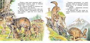 Приключения волчонка фото книги 3