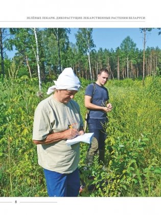 Зеленые лекари. Дикорастущие лекарственные растения Беларуси фото книги 4
