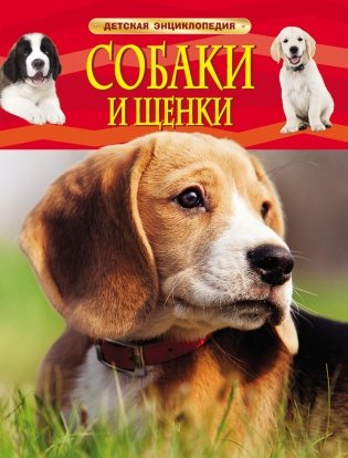 Собаки и щенки фото книги