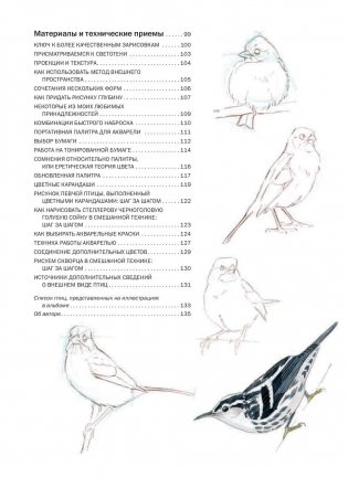 Как рисовать птиц. Руководство фото книги 4