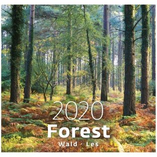 Forest (Лес). Календарь настенный на пружине на 2020 год фото книги