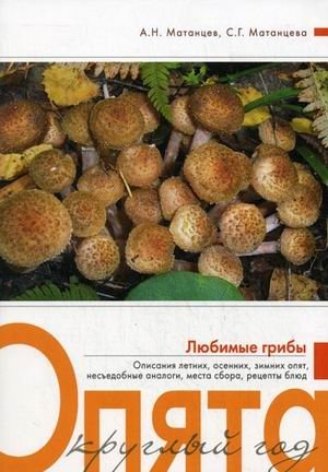 Опята круглый год. Любимые грибы фото книги