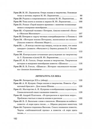 Русская литература в 9 классе. Учебно-методическое пособие для учителей фото книги 6