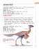Динозавры. Полный иллюстрированный словарь фото книги маленькое 10