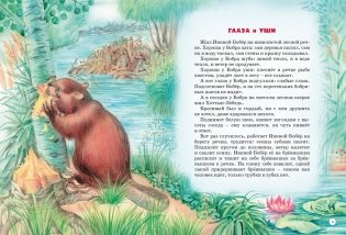 Большая книга сказок фото книги 4