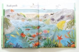 Big Picture Book of Outdoors фото книги 3