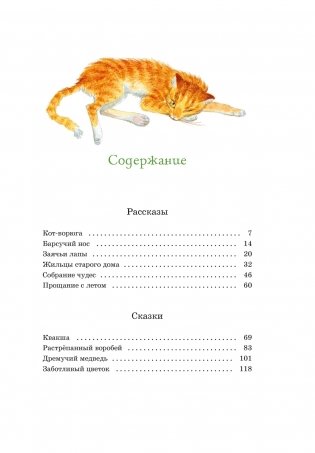 Кот-ворюга. Рассказы и сказки фото книги 2