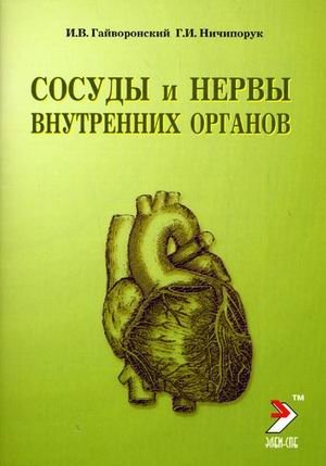 Сосуды и нервы внутренних органов фото книги