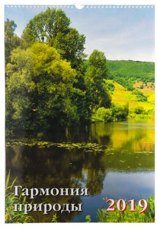 Календарь перекидной на 2019 год. "Гармония природы" фото книги