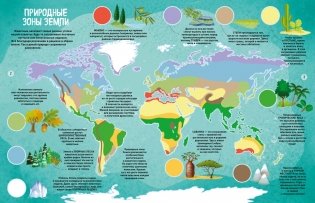 Мир животных в картинках фото книги 2