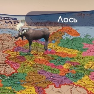 Карта России политико-административная "Brauberg", 101х70 см, 1:8500000, интерактивная фото книги 5
