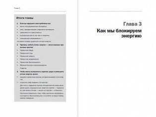 Энергия - новая валюта. Как поддерживать баланс жизненных сил фото книги 3