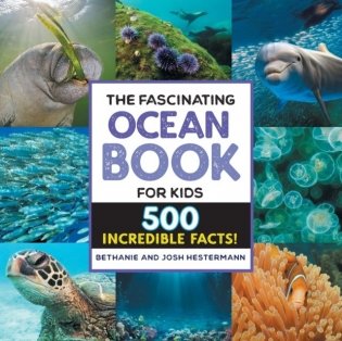 The Fascinating Ocean Book for Kids: 500 Incredible Facts! фото книги