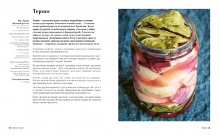 Ферментация. Вкусные и полезные рецепты на каждый день фото книги 5