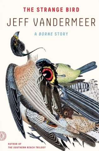 The Strange Bird: A Borne Story фото книги