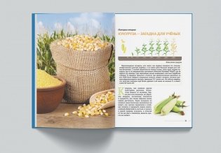 Растения, которые нас приручили. Зерновые и зернобобовые сельско-хозяйственные культуры фото книги 2