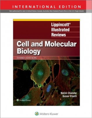 Lippincott Illustrated Reviews: Cell and Molecular Biology, 3 IE фото книги