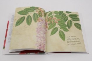 RHS John Reeves: Pioneering Collector of Chinese Plants and Botanical Art фото книги 3