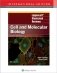 Lippincott Illustrated Reviews: Cell and Molecular Biology, 3 IE фото книги маленькое 2