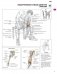Анатомия силовых упражнений для мужчин и женщин фото книги маленькое 7