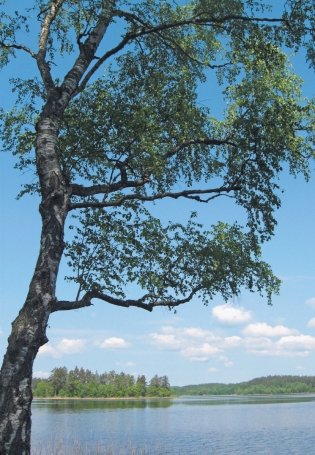 Река памяти фото книги 11