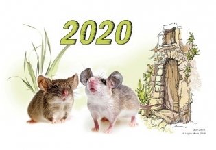Календарь на 2020 год "Год Крысы" (КР32-20011) фото книги