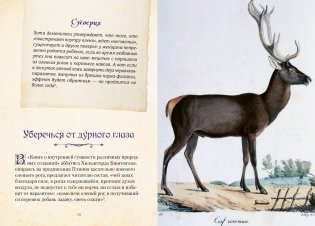 Магические животные. Легенды и суеверия фото книги 7