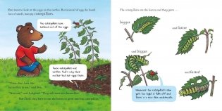 National Trust: Ben Plants a Butterfly Garden фото книги 5