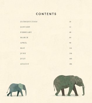 Tiger, Tiger, Burning Bright! An Animal Poem for Every Day of the Year фото книги 2