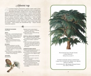 Тайный язык деревьев фото книги 7