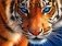 Алмазная мозаика "Хищный взгляд тигра", 20х30 см (с частичным заполнением, на картоне) фото книги маленькое 2