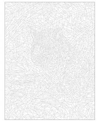 Mystery Coloring Wild Animals фото книги 11