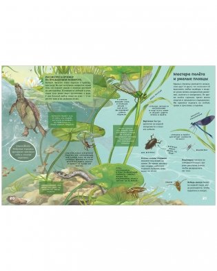 Секреты животных озера. Визуальная энциклопедия фото книги 6