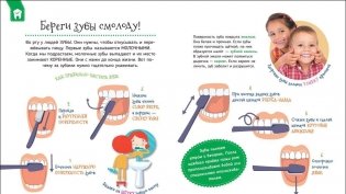 Тело человека. Первая энциклопедия фото книги 2