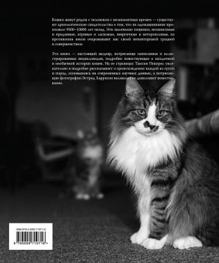 Кошки. Иллюстрированная энциклопедия фото книги 5