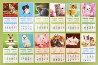 Котята. Календарь настенный перекидной на скрепке на 2021 год фото книги 3