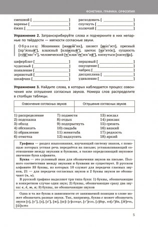 Русский язык. Практический курс подготовки к экзамену и ЦТ фото книги 7