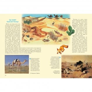 Занимательное природоведение для малышей фото книги 5