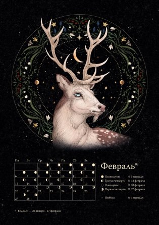 Календарь до 2025 года «Легенды темного леса». Лиса фото книги 2