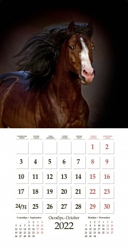 Календарь на 2022 год "Магия лошади" (КР23-22020) фото книги 3