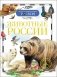 Животные России фото книги маленькое 2