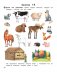 Умней-ка. 5—6 лет. Речевая мозаика фото книги маленькое 7
