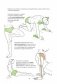 Анатомия йоги. Как работают мышцы фото книги маленькое 3