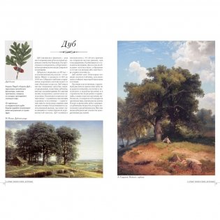 Самые известные деревья фото книги 5